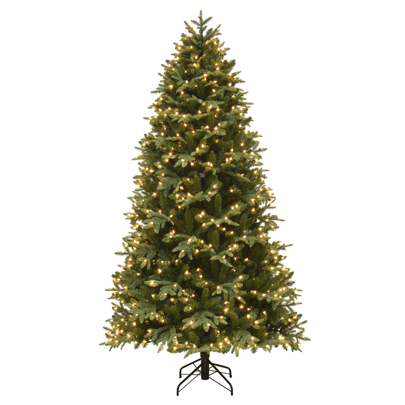 Celebrations, Celebrations  9 ft. Full  Incandescent  900 count Frasier Fir  Color Changing Christmas Tree